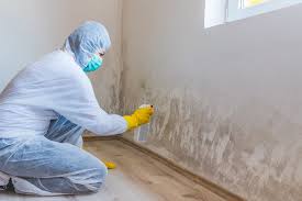 Best Mold Documentation for Insurance Claims in Prestonsburg, KY